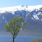 6 Person In Gullesfjord Vakantiehuis Flesnes